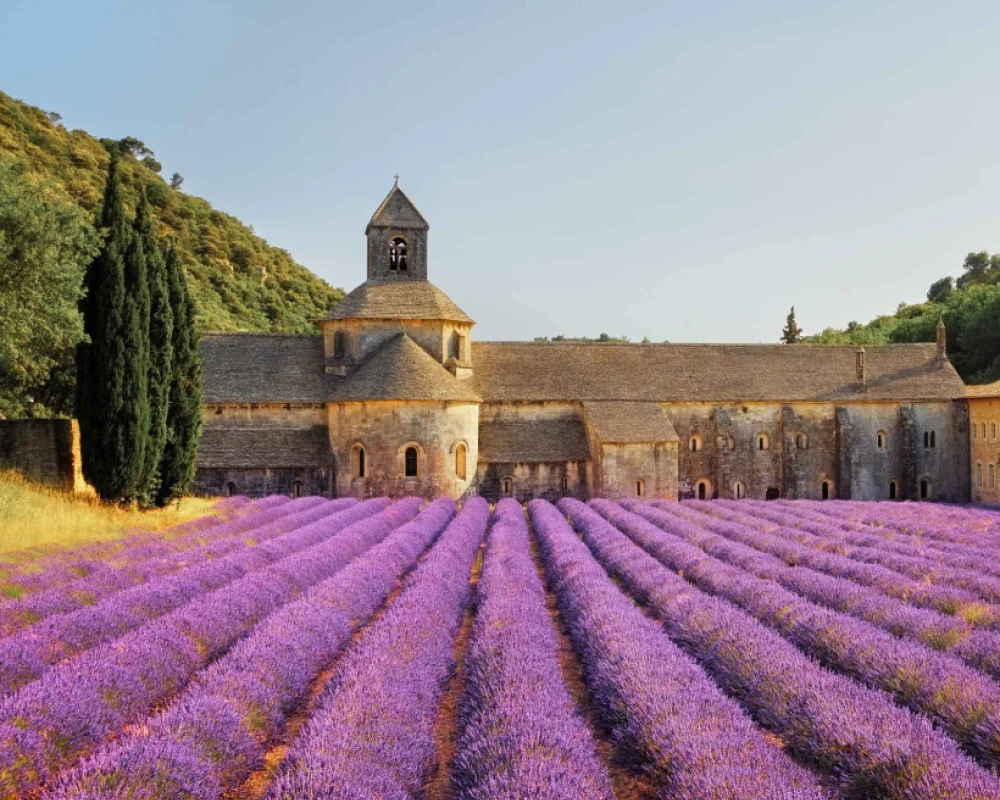 Lescapade Hotel Au Mont Ventoux Tourisme Et Activites 1